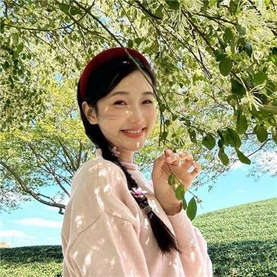智叻狗仔队