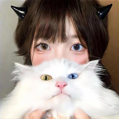 局中人第三季